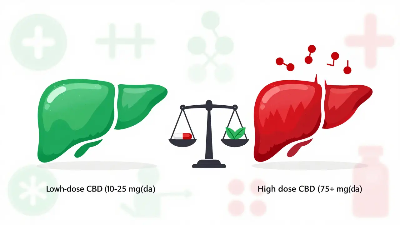 Vergleich gesunder und überbelasteter Leber bei niedriger vs. hoher CBD-Dosis