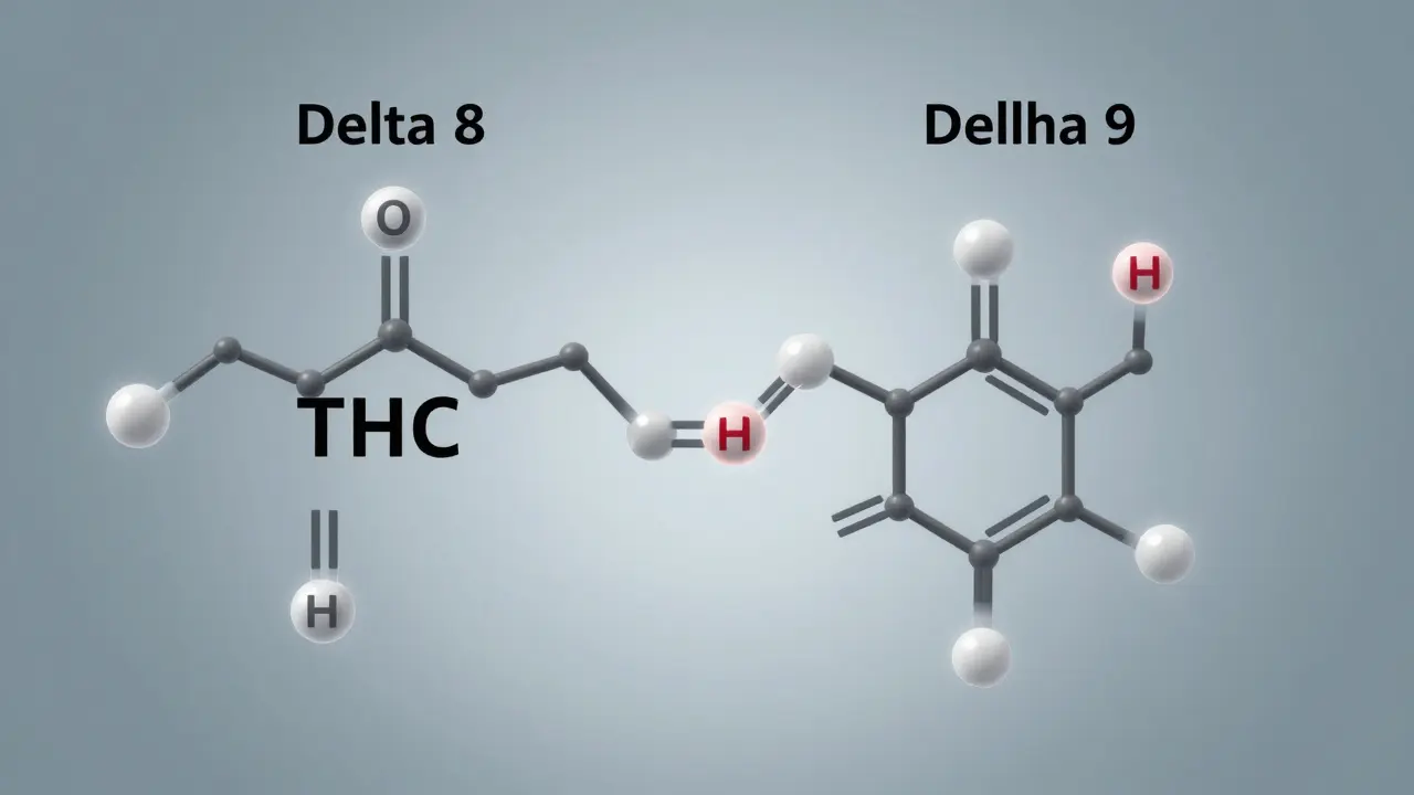 Molekulare Darstellung von Delta 8 THC und Delta 9 THC mit sichtbarem Unterschied in der Doppelbindung.