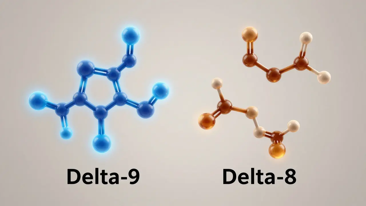 Delta 8 vs. Delta 9 bei Schmerzen: Was wirkt besser?