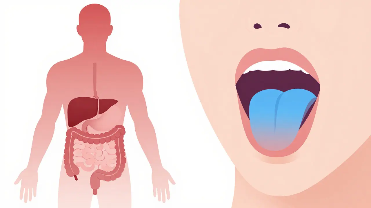 Illustration des Unterschieds zwischen oraler und sublingualer Aufnahme von CBD